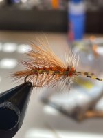 IMG_1686.jpeg