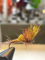 IMG_1640.jpeg