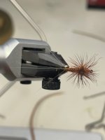 IMG_1591.jpeg