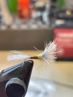 IMG_1594.jpeg