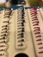 IMG_1547.jpeg