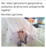 1758241859049.png