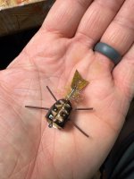 IMG_0075.jpeg