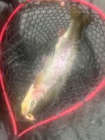 IMG_7033.jpeg