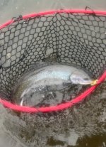 IMG_7036.jpeg