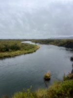 IMG_7040.jpeg