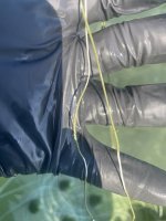 IMG_1452.jpeg IMG_1452.jpeg