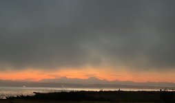 IMG_3916.jpeg