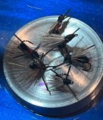 IMG_9957.jpeg