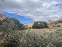 IMG_5099.jpeg