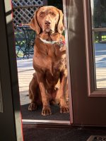 IMG_3476.jpeg