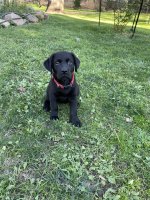 IMG_5076.jpeg