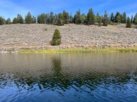 IMG_4019.jpeg