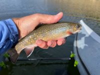 IMG_4018.jpeg