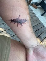 IMG_2836.jpeg