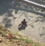 IMG_3943.jpeg