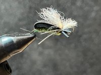 IMG_0022.jpeg