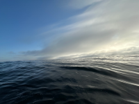 IMG_8292.png