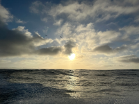 IMG_8290.png
