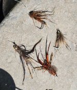 20250924_flies.jpg 20250924_flies.jpg