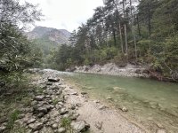 IMG_2560.jpeg IMG_2560.jpeg