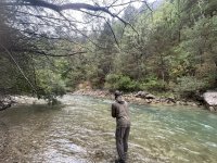 IMG_9312.jpeg IMG_9312.jpeg