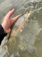 IMG_9359.jpeg IMG_9359.jpeg