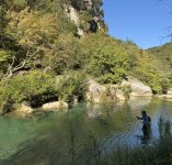 IMG_8309.jpeg IMG_8309.jpeg
