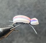 IMG_0039.jpeg
