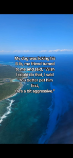 1758770654074.png