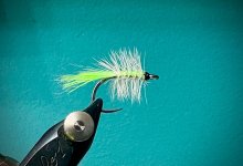 IMG_1633.jpeg