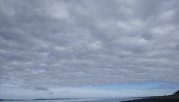 IMG_3975.jpeg