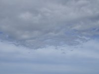IMG_3978.jpeg