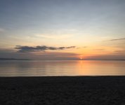 IMG_2523.jpeg