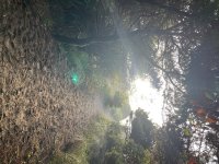 IMG_5028.jpeg