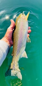 IMG_7452.jpeg