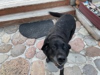 IMG_1741.jpeg IMG_1741.jpeg