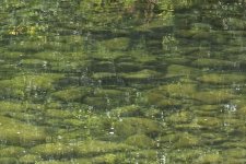 20250927_114502.jpg 20250927_114502.jpg