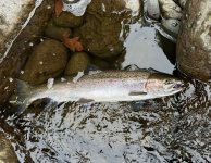 IMG_7635.jpeg IMG_7635.jpeg