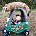 starting 'em young.jpg