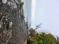 20250929_080913.jpg 20250929_080913.jpg
