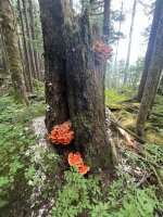 2025-09-28 12.22.04.jpg