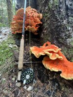 2025-09-28 12.23.18.jpg