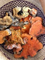 2025-09-28 16.27.33.jpg