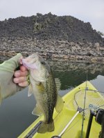 20241010_105454.jpg 20241010_105454.jpg