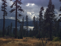 IMG_5233.png IMG_5233.png