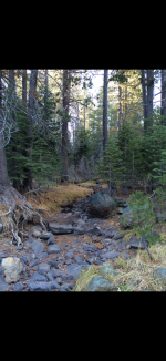 IMG_4711.png IMG_4711.png