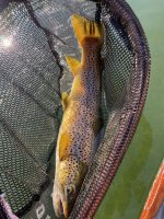 IMG_6257.jpg