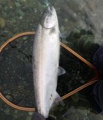 IMG_4033.jpeg IMG_4033.jpeg