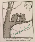 the-jane-goodall-institute-was-not-amused-but-jane-goodall-v0-34bhw57rdksf1.webp